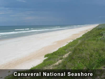 Canaveral National Seashore