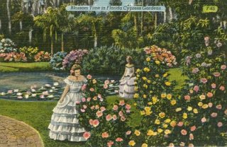 Vintage Cypress Gardens postcard
