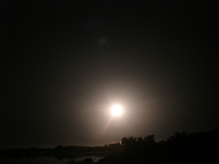 SpaceX's Falcon 9 lifts off from Cape Canaveral