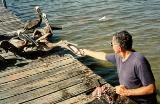 Photo: Bob Trohn on the Manatee River in Palmetto. 